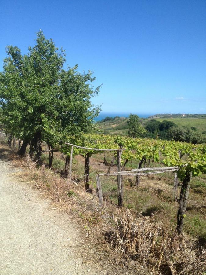 La Capanna Villa Francavilla Al Mare Eksteriør bilde